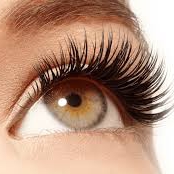 eyelash